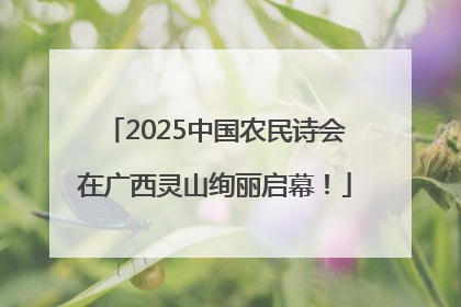 2025中国农民诗会在广西灵山绚丽启幕！